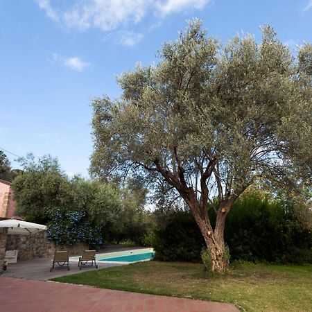 Agricontura Casa de hóspedes Capri Leone Exterior foto