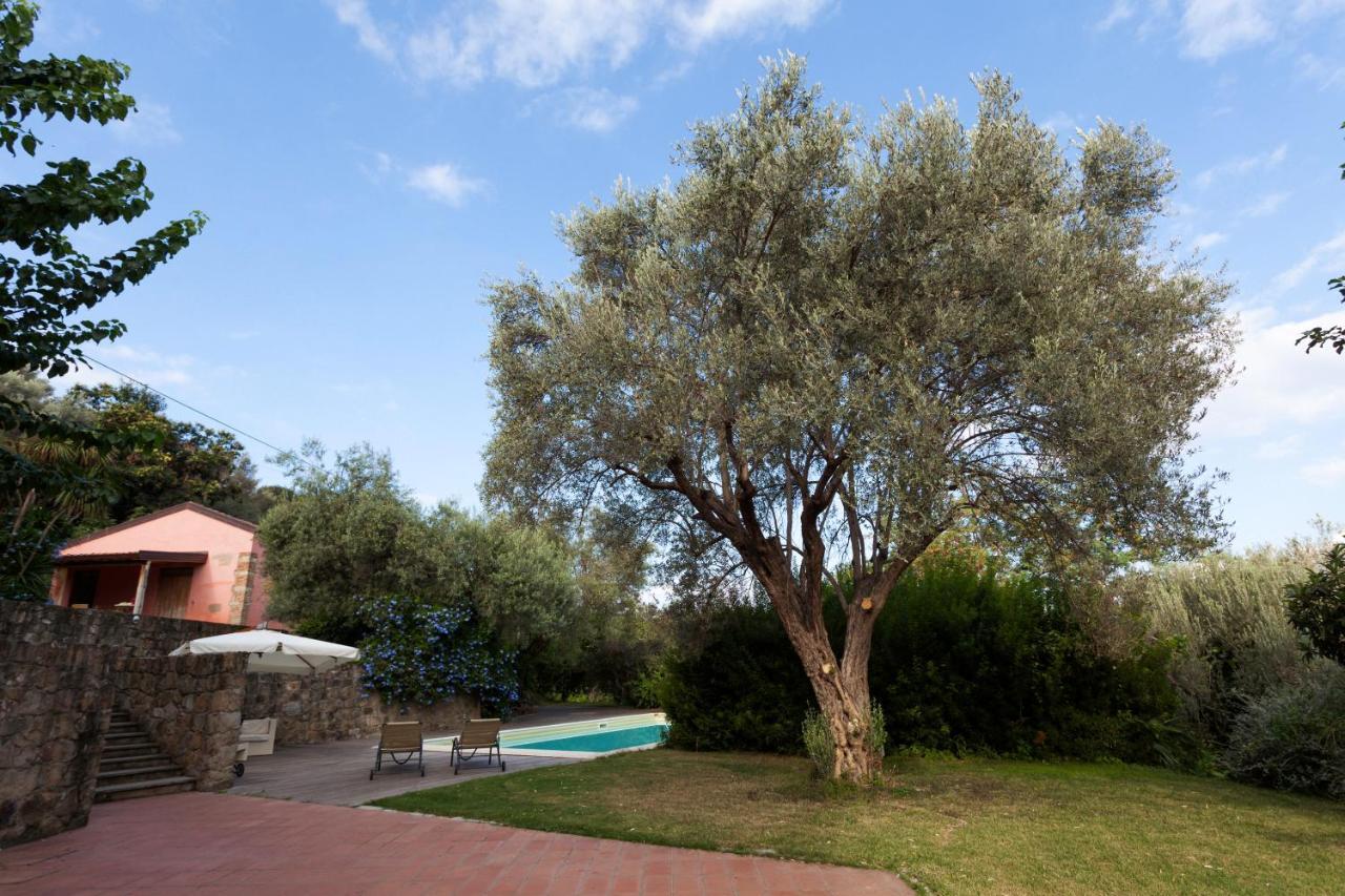Agricontura Casa de hóspedes Capri Leone Exterior foto