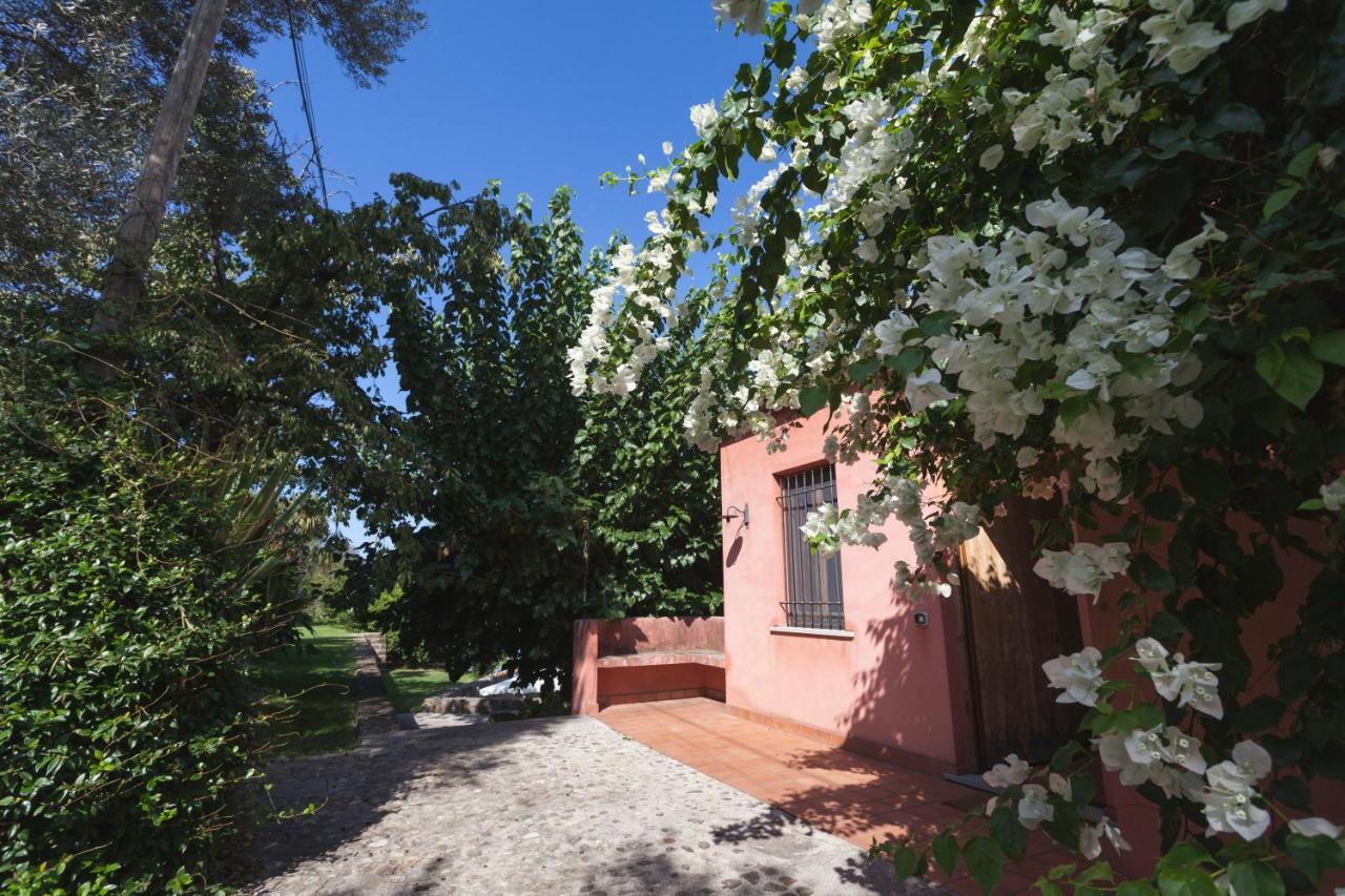 Agricontura Casa de hóspedes Capri Leone Exterior foto
