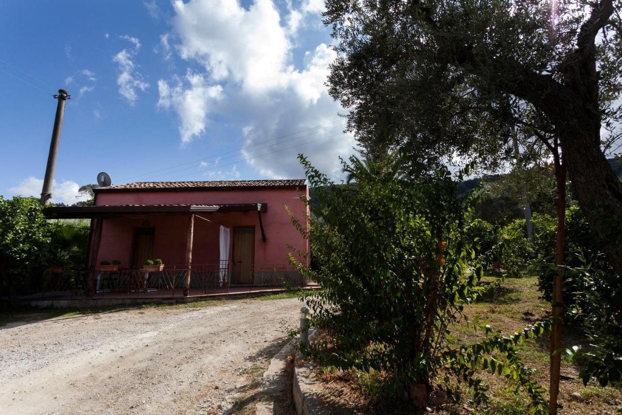 Agricontura Casa de hóspedes Capri Leone Exterior foto